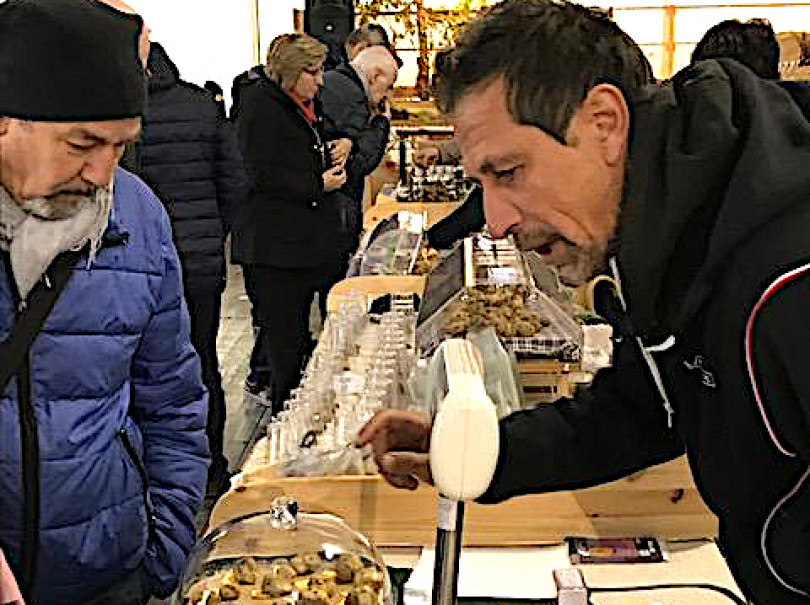 Cresce l'attesa per la Fiera del Tartufo di Murisengo